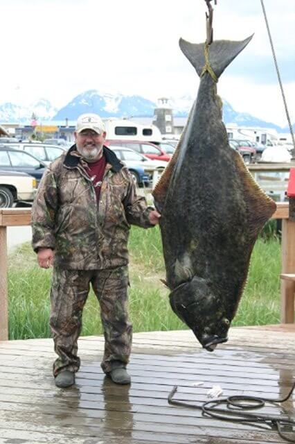 Day 21 A guest on a fishing boat excursion has caught a record-breaking, two-hundred-pound halibut.